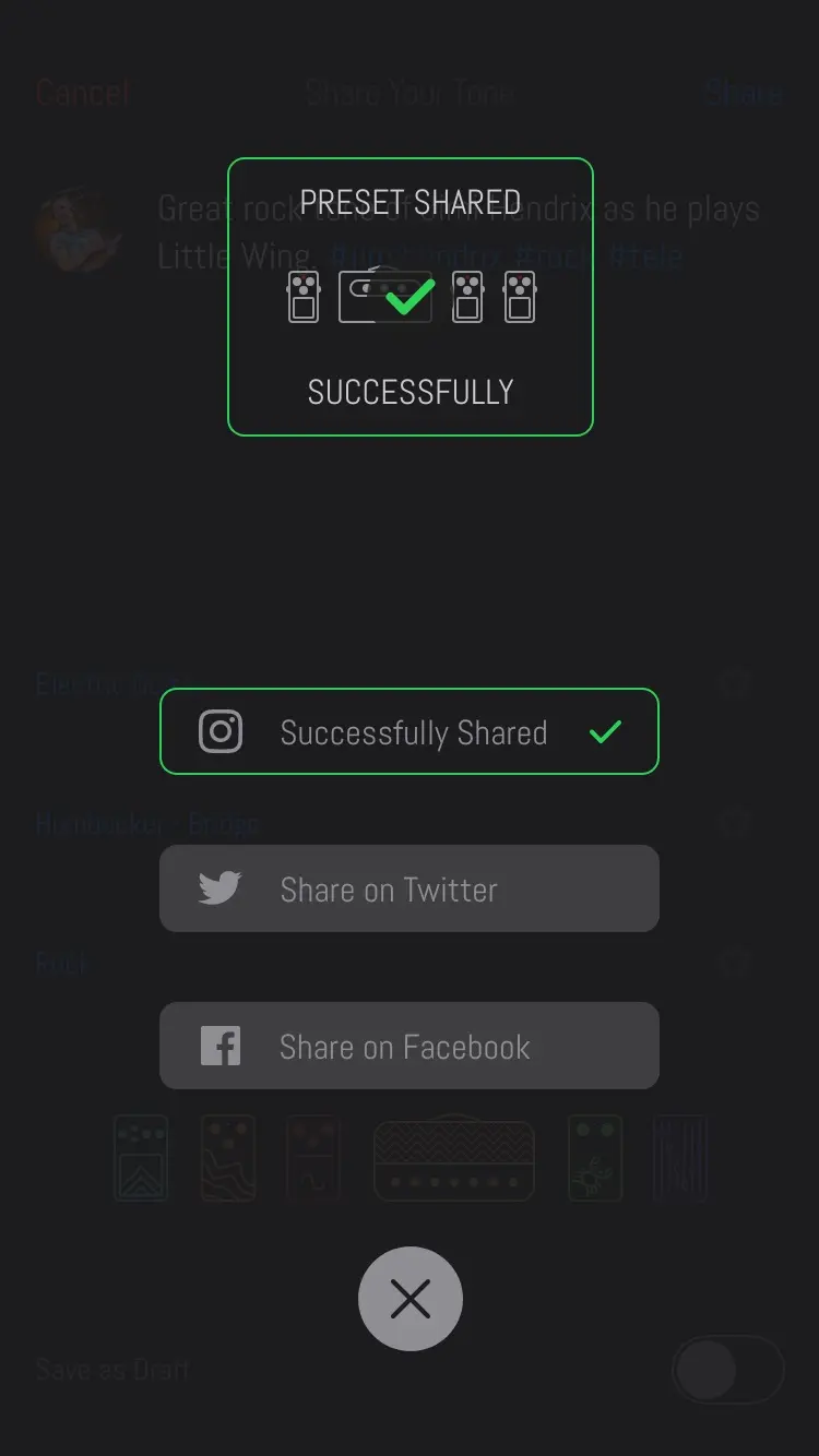 The screen dimmed under a card reading Preset Shared Successfully, around a green tick over the chain. Under it Instagram reads Successfully Shared with a tick, then buttons for Share on Twitter and Share on Facebook, and a close button.