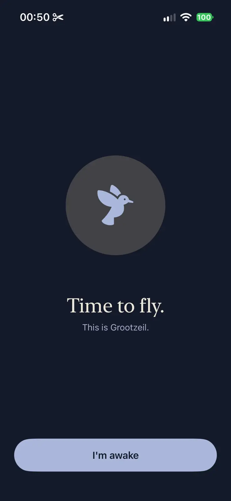 The wake. A bird in flight inside a grey circle. Time to fly. This is Grootzeil. One wide button at the foot reads I'm awake.